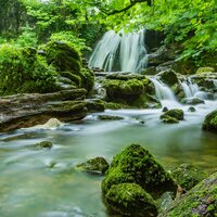 Streamy Sound of Relief - Water Soundscapes