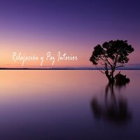 Música Ambiental para la Relajación - Dormir Profundamente