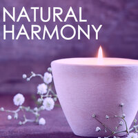 Natural Harmony - Chakra Meditation Balancing