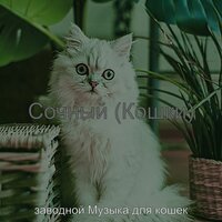 Мечты (Расслабляющие кошки) - заводной Музыка для кошек