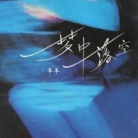 梦中落空 - 羊羊