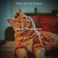 Wonderful (Music) - Music for Cats Project