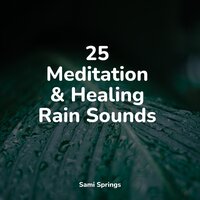 Forest Ambience, Strong Wind, Rain - Lush Rain Creators & Sleep Tight & Oasis of Meditation