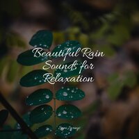Beautiful Bird Song - ZEN & Oasis of Meditation & Bath Spa Relaxing Music Zone
