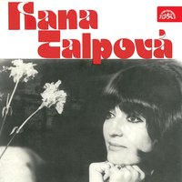 Hledej Černý Tulipán - Hana Talpová
