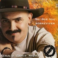 Vício de Amor - Fernando Correia Marques