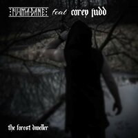 The Forest Dweller - Fuimadane & Corey Judd
