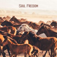 Indian Dream - Acoustic Guitar Music & Guitar Masters & Soft Guitar Music
