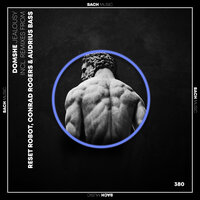Jealousy - Domshe