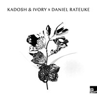 Dami - Daniel Rateuke