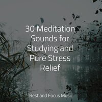 Trees In the Woods - Shakuhachi Sakano & Relaxing Sleep Music & Meditation Zen