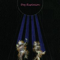 Find s Hole - Dog Explosion & Dog Exploson