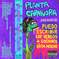 Fresh Princess - Planta Carnívora