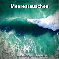 Naturgeräusche - Meeresrauschen Aufnahmen & Naturgeräusche & Meeresrauschen