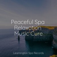 Sleepy - Guided Meditation & Help Me Sleep & Yoga Trainer