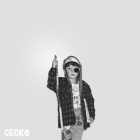Climbing Frame - Gecko