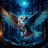 Turning into an owl - Gustaus