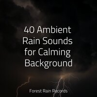 Relaxing Creek - Sonidos De Lluvia y Tormentas & The Relaxing Sounds of Water & Music to Relax in Free Time
