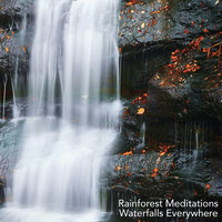Rainforest Waterfall - Rainforest Meditations