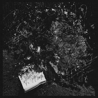 Привычка - Три дня дождя