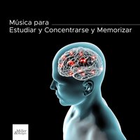 Olas Rompiendo Music - Ananda Calma