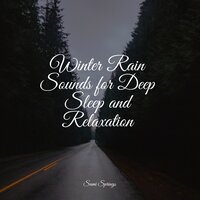 Wind, Strong, Forest, Light Debris, Leaves, Rain - Regengeräusche & Nature Soundscape & SleepTherapy