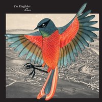 Lion's Share - I'm Kingfisher