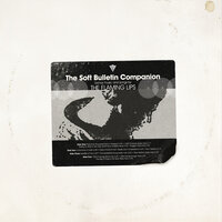 The Big Ol' Bug Is the New Baby Now - The Flaming Lips