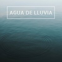 Zen Meditation (Dormir Bien Chillout) - New Age Relajación Science