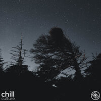Howling Wind And Thunder Sounds, Pt. 18 - Sleep Culture
