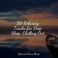 Zen Redemption - Life Sounds Nature & Tranquility Spa Universe & Deep Sleep Music Experience