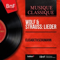 5 Lieder, Op. 15: No. 5, Heimkehr - Elisabeth Schumann & Leo Rosenek & Elisabeth Schumann, Leo Rosenek & Рихард Штраус