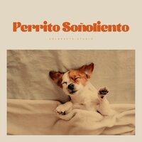 Plenty of Ports - Sonidos Relajantes para Perros