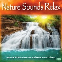 Rain Downpour - Nature Sounds Relax