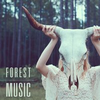 Nature Sounds - Rainforest