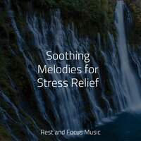 Utterly Tranquil - Exam Study Classical Music & Brain Study Music Guys & Música de la Naturaleza