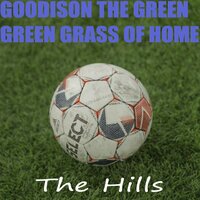 The Green Green Grass of Home - Ian Thompson