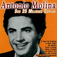 Toros y Coplas - Antonio Molina