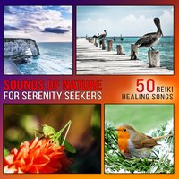 Sounds of Nature for Serenity Seekers - Emotional Healing Intrumental Academy