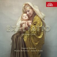 Pochválen buď Ježíš Kristus - Musica Bohemica & Jaroslav Krček & Vincenc Ignác Novotný