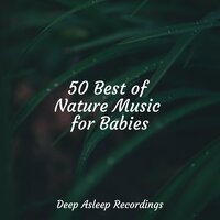 Broiling Brook - Sleeping Music & Yoga Namaste & Mindfulness Meditation Universe