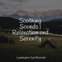 Yoga Relaxation - Tinnitus & The Relaxing Sounds of Water & The Sleep Helpers