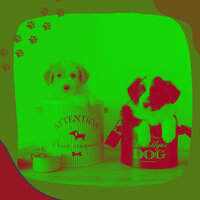 Scintillating Relaxing Your Dog - Dog Music Radio