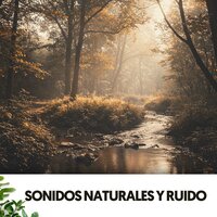 Moonlit Lullaby Medley - Música Relajante Para Leer & Sleeping Music & Amazing Spa Music
