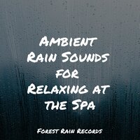 White Noise Rain Umbrella - Nature Soundscape & White Noise for Deeper Sleep & Study Zone