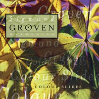 Forventing - Sigmund Groven