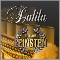 I Try to Forget You - Dalila