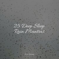 Endless Rains - Sons da Natureza Relax & Guided Meditation & Musica Reiki