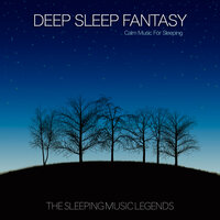 A Rebirth - The Sleeping Music Legends & The Relaxation Guys & The Sleep Music Dreamers