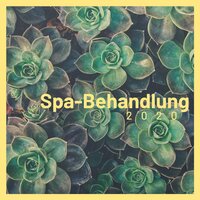 Spa-Empfindungen - Chinesische Musik Akademie